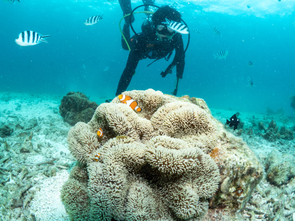 恩納村　ダイビング