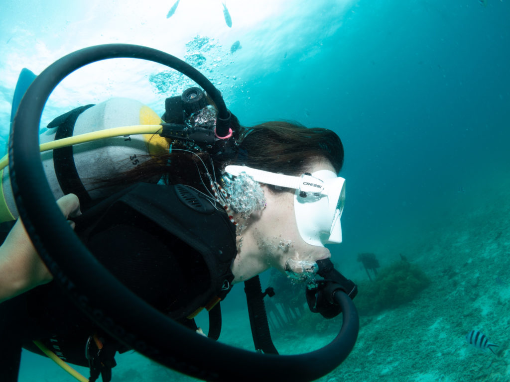 沖縄　ファンダイビング