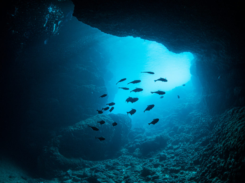 恩納村　ファンダイビング