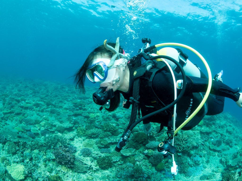 万座　ファンダイビング