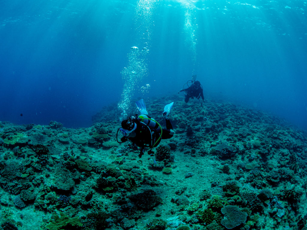 万座　ファンダイビング