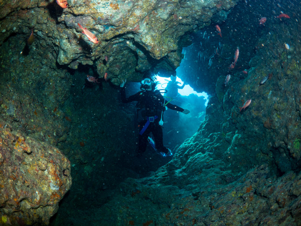 万座　ファンダイビング