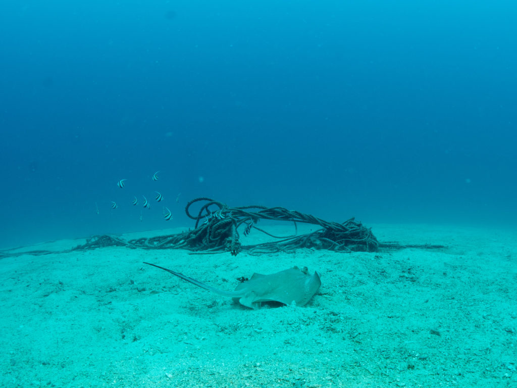 万座　ヤッコエイ