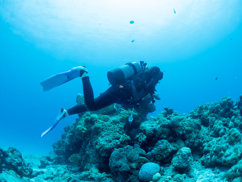 水納島 ファンダイビング