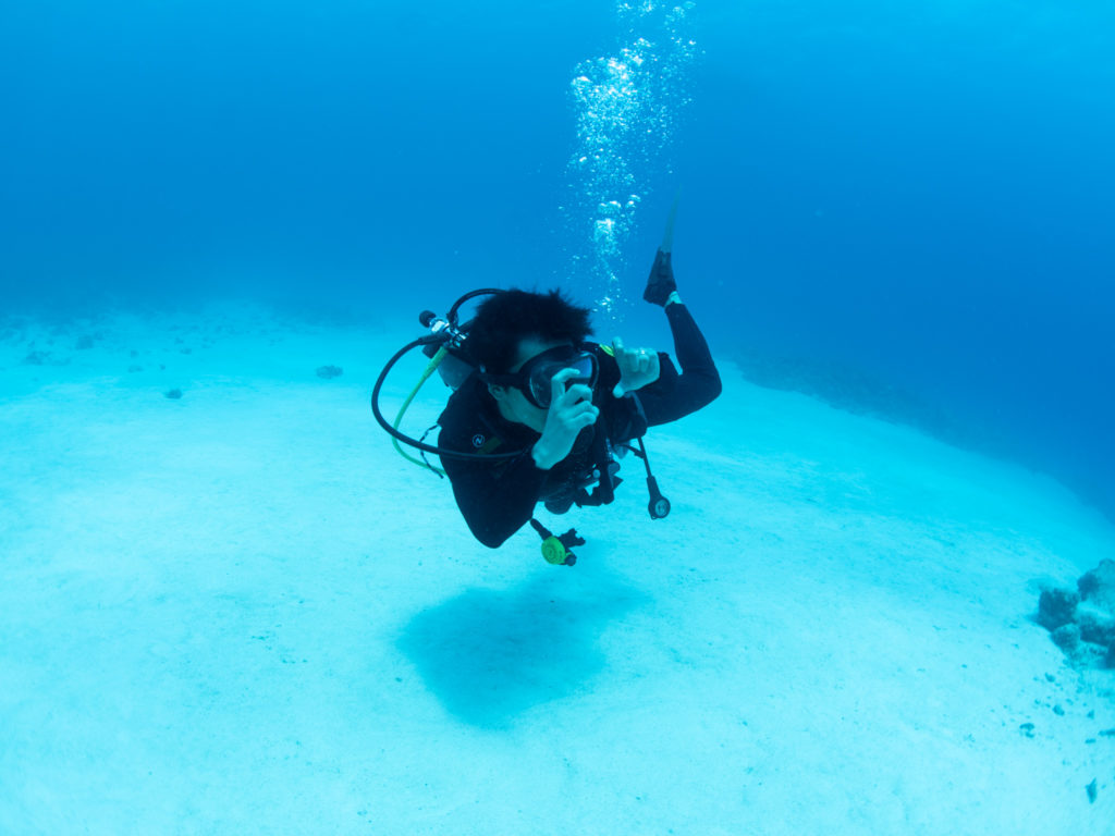 水納島 ファンダイビング