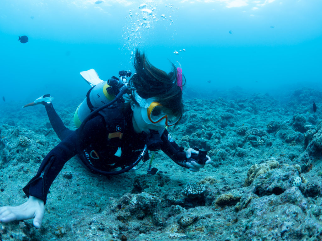 沖縄　ダイビングライセンス