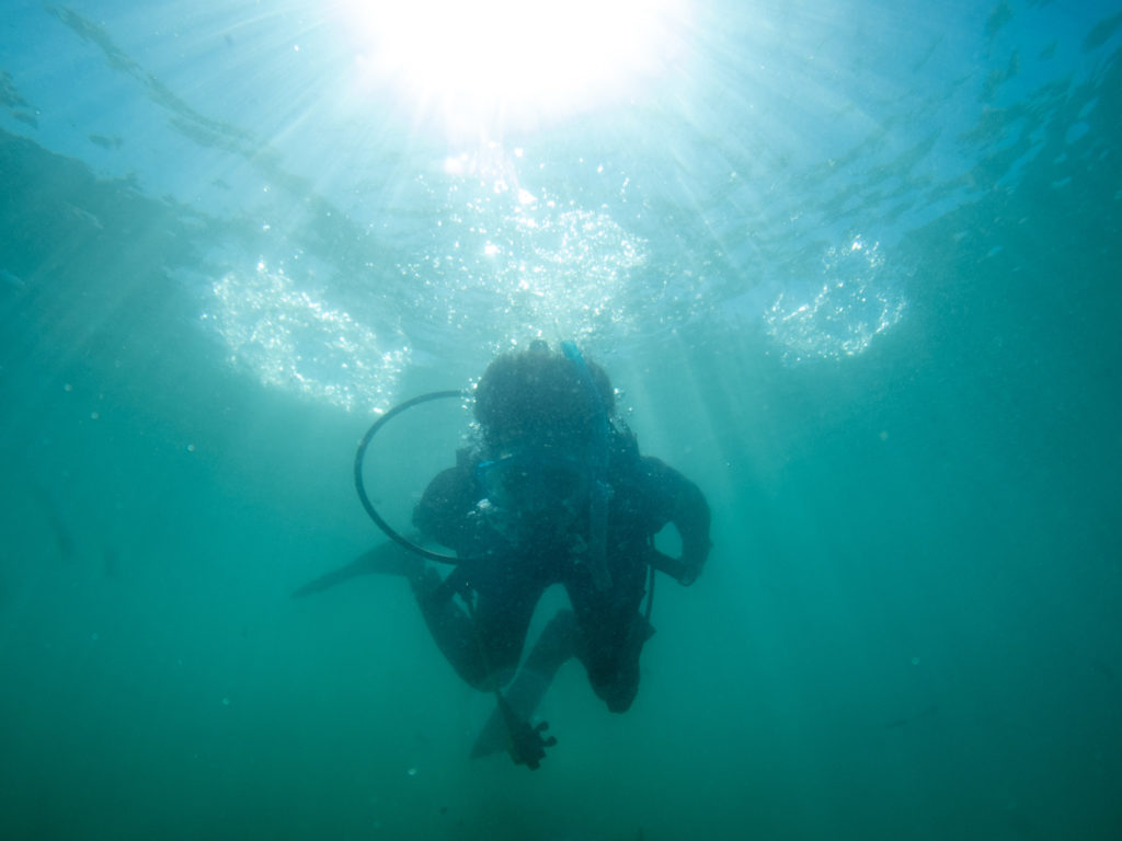 沖縄 ダイビングライセンス