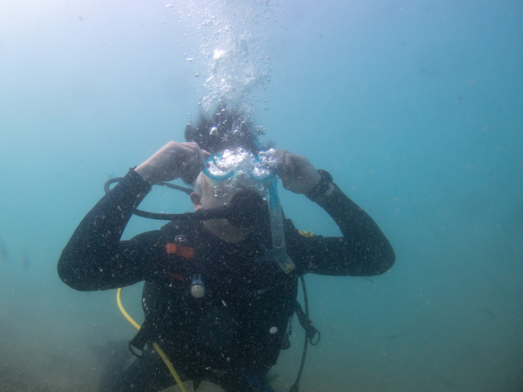 沖縄 ダイビングライセンス