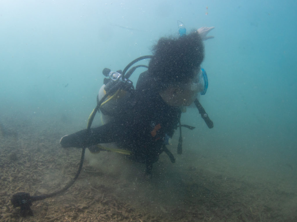 沖縄 ダイビングライセンス