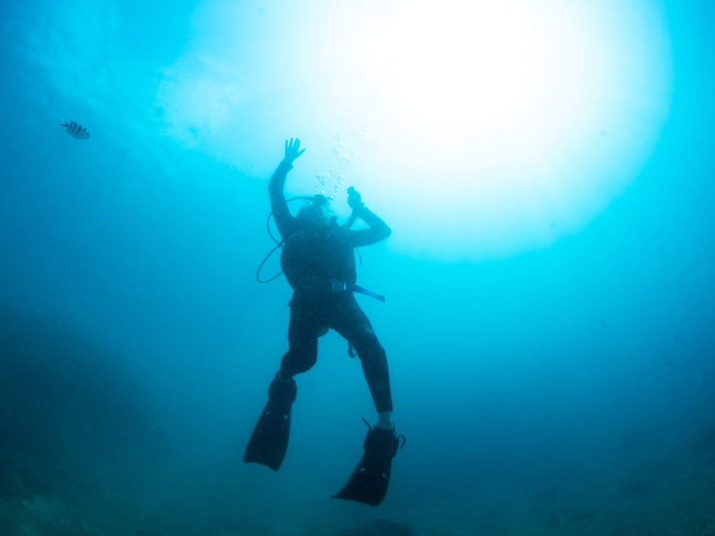 沖縄　ダイビングライセンス講習