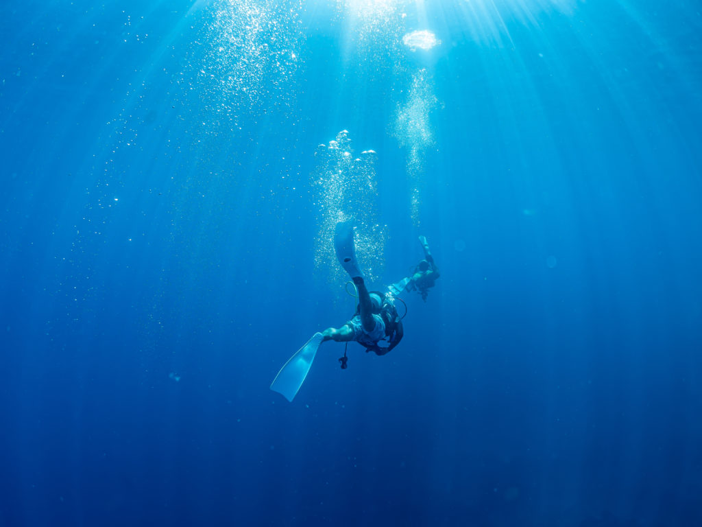 万座　ファンダイビング