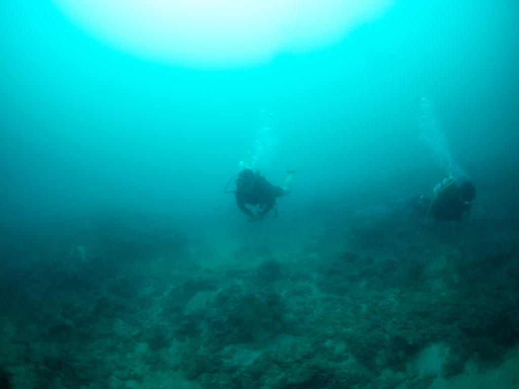 沖縄　ファンダイビング