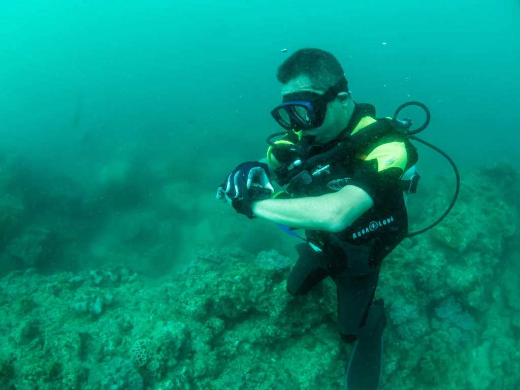 沖縄 ライセンス講習