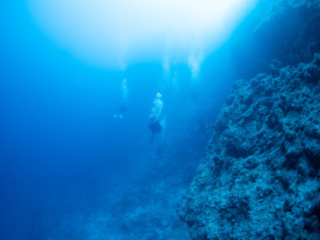 万座　ファンダイビング