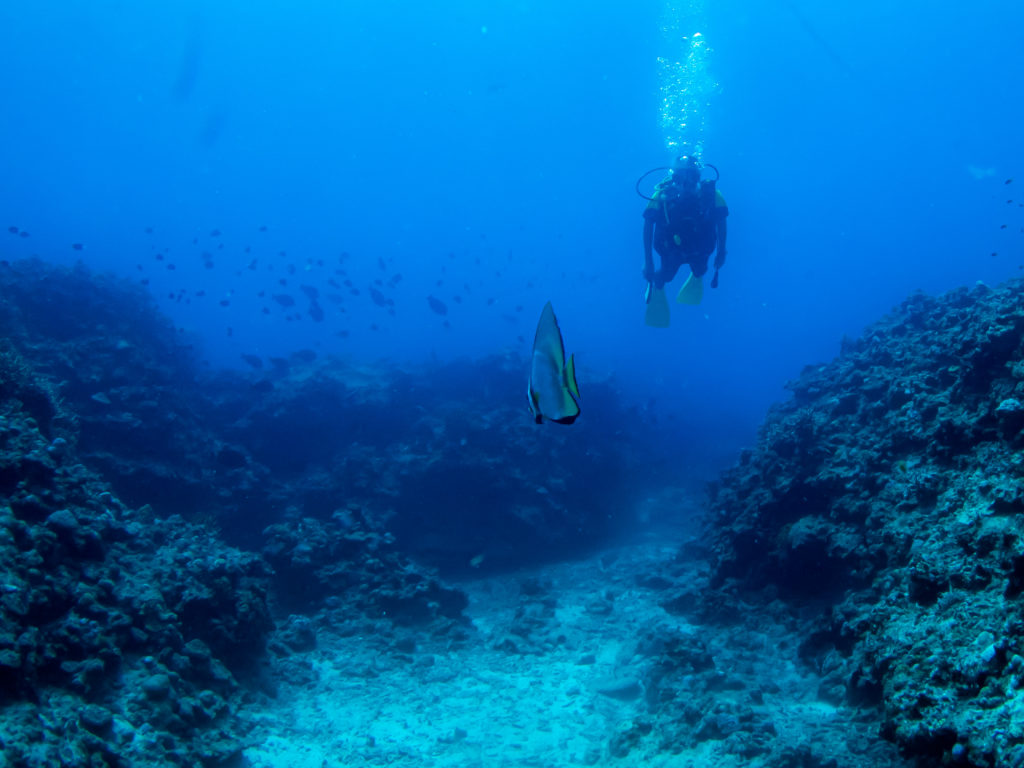 沖縄 ライセンス講習