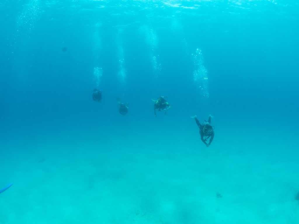 万座　ファンダイビング