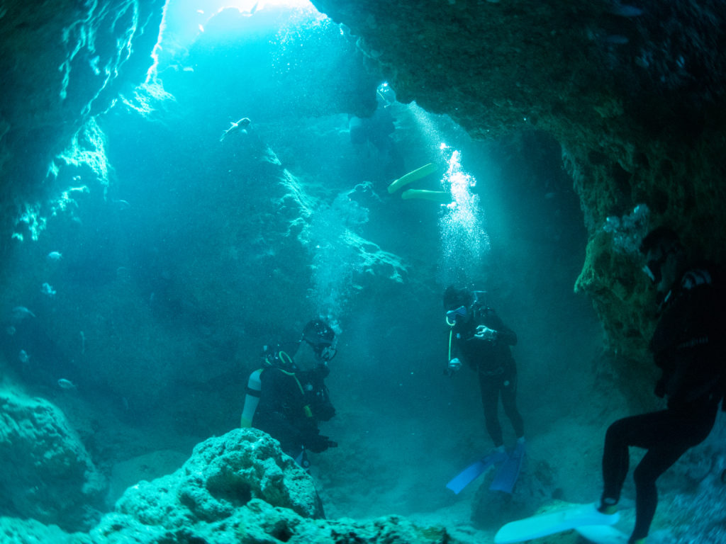 万座　ファンダイビング