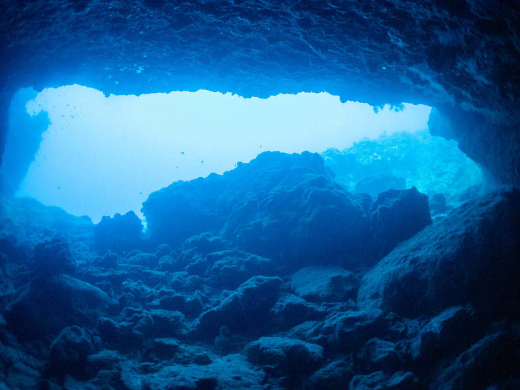 万座　ファンダイビング