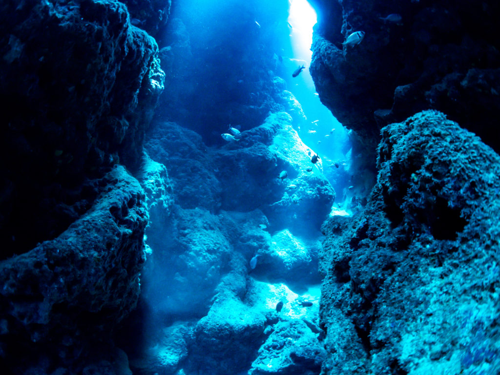 万座　ファンダイビング