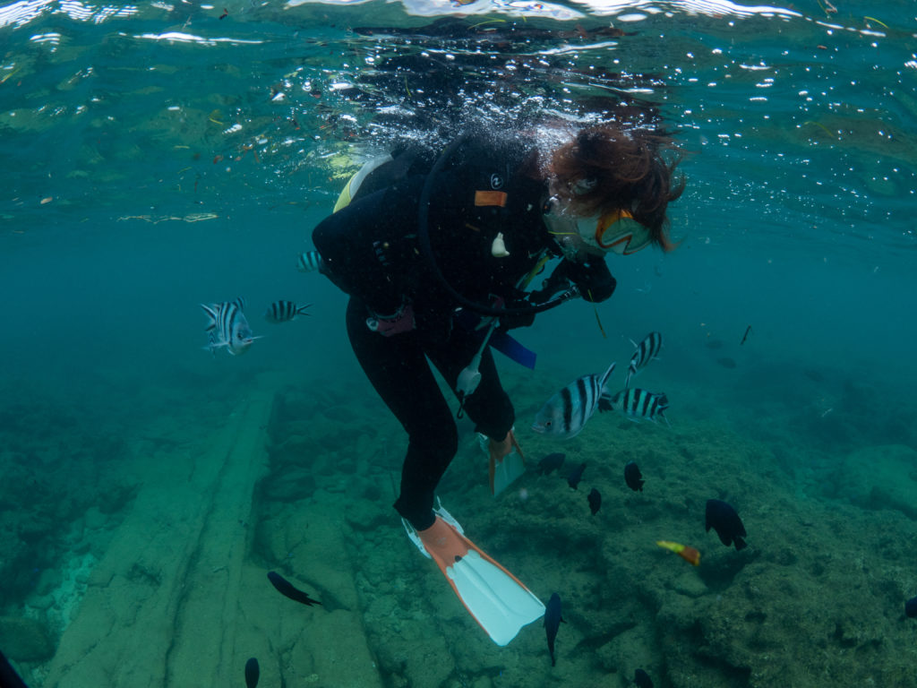 沖縄　ダイビングライセンス講習