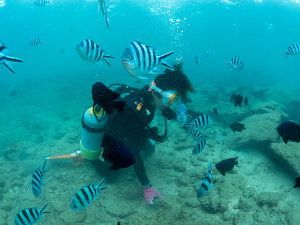 沖縄　ダイビングライセンス講習