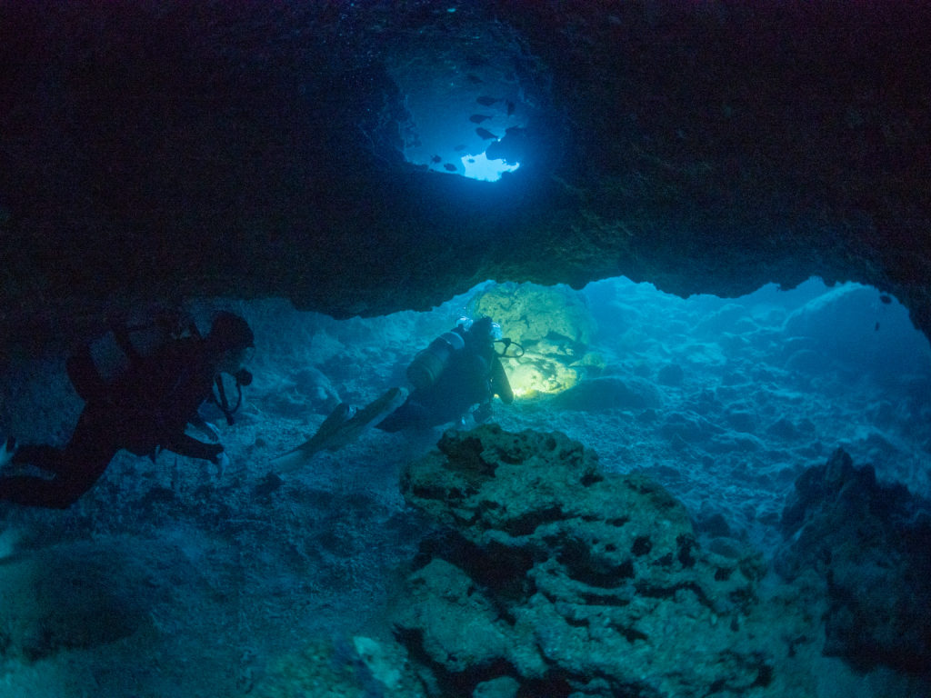 恩納村 ファンダイビング