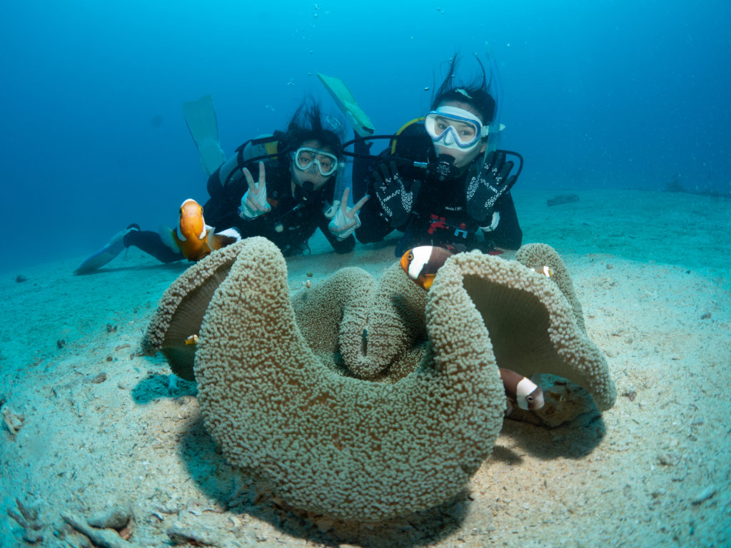 恩納村 ファンダイビング