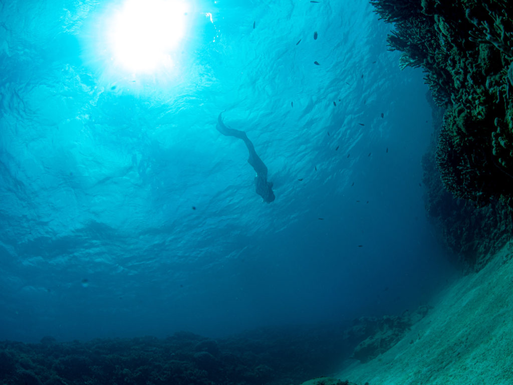 恩納村　マーメイドスイム