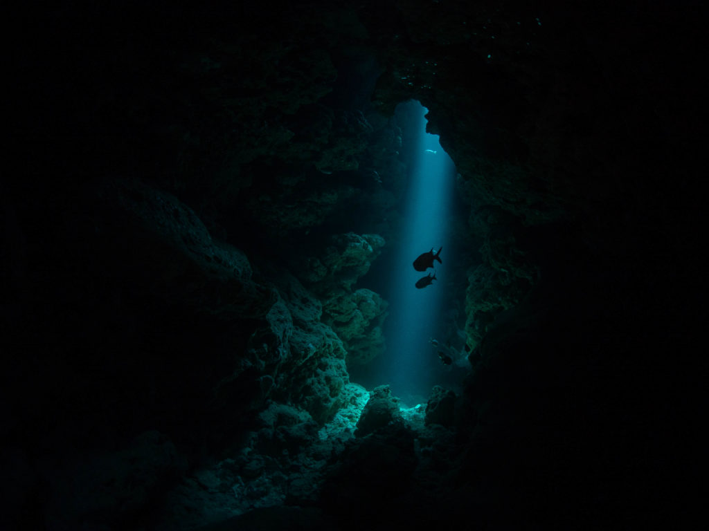 水納島 ファンダイビング