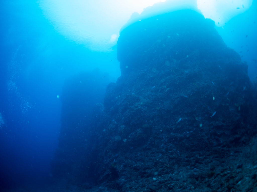 辺戸岬 ファンダイビング