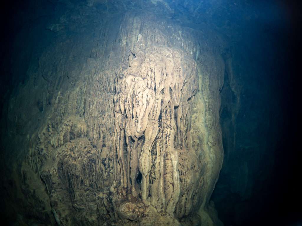 辺戸ドーム ファンダイビング