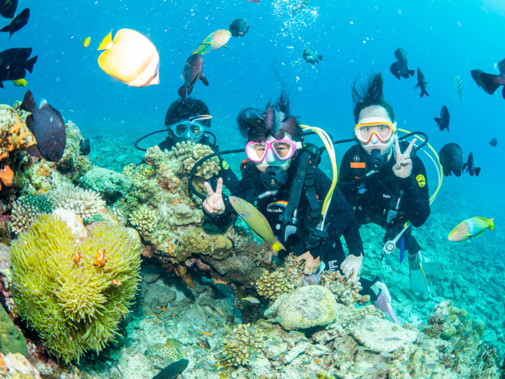 水納島　体験ダイビング