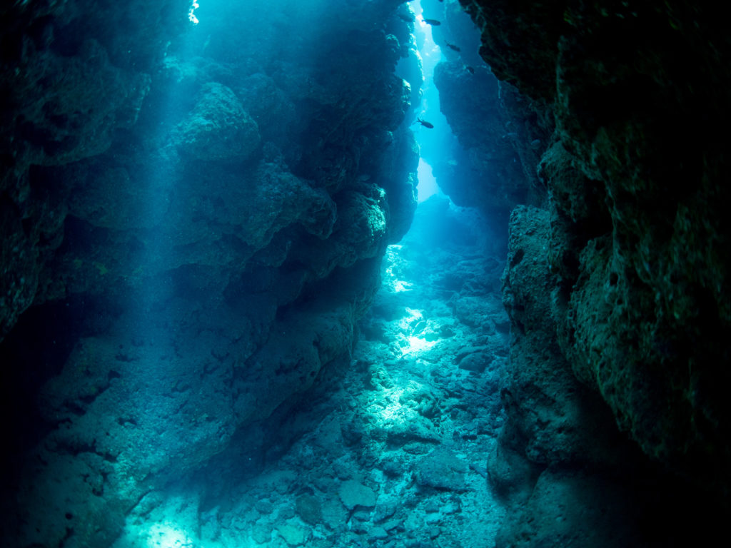 水納島　体験ダイビング