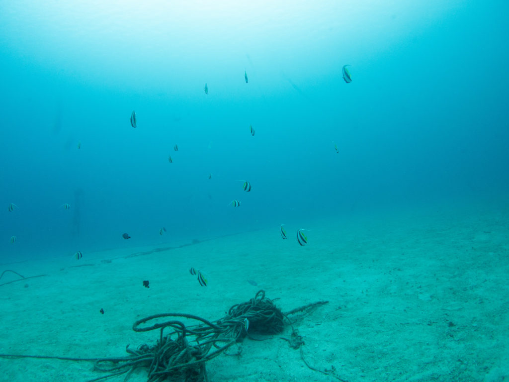 万座 ファンダイビング