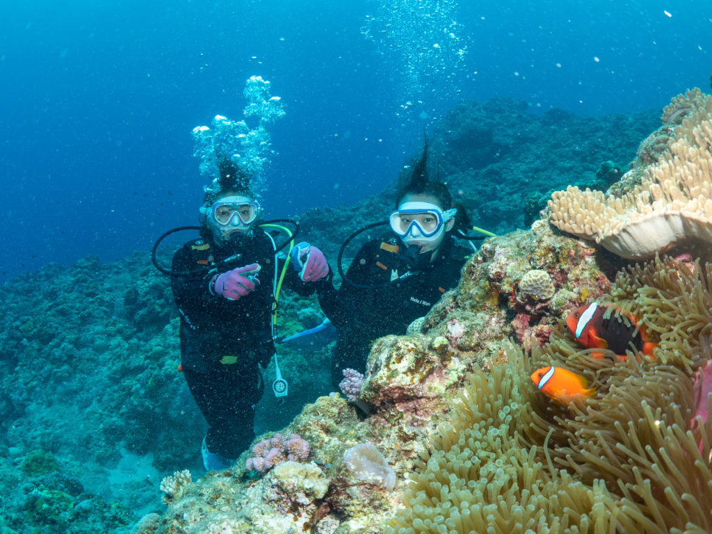 慶良間　体験ダイビング