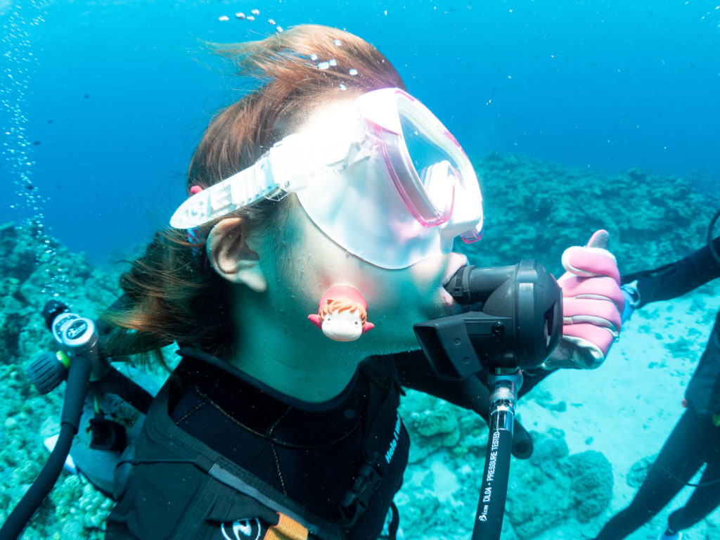 慶良間　体験ダイビング