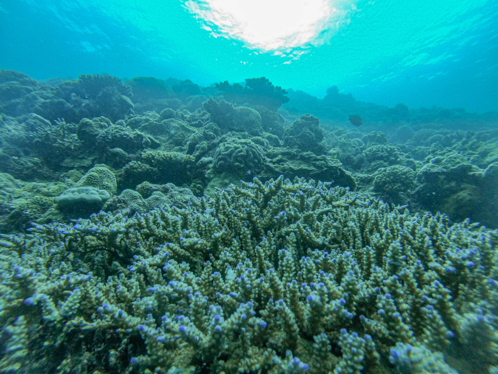 恩納村 真栄田岬