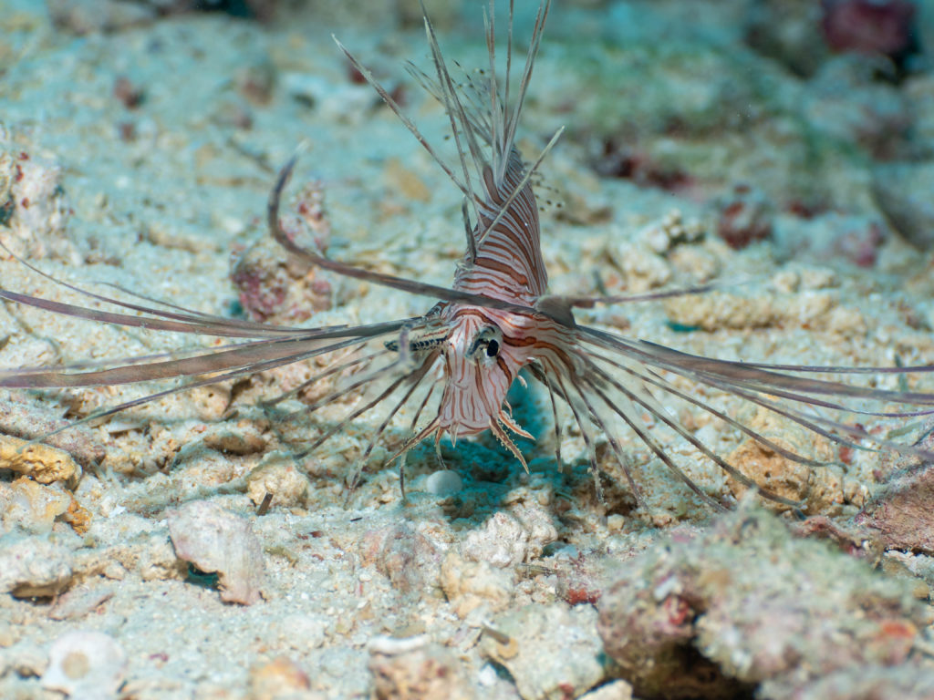 恩納村 真栄田岬