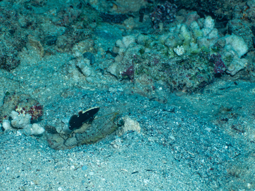 恩納村 真栄田岬