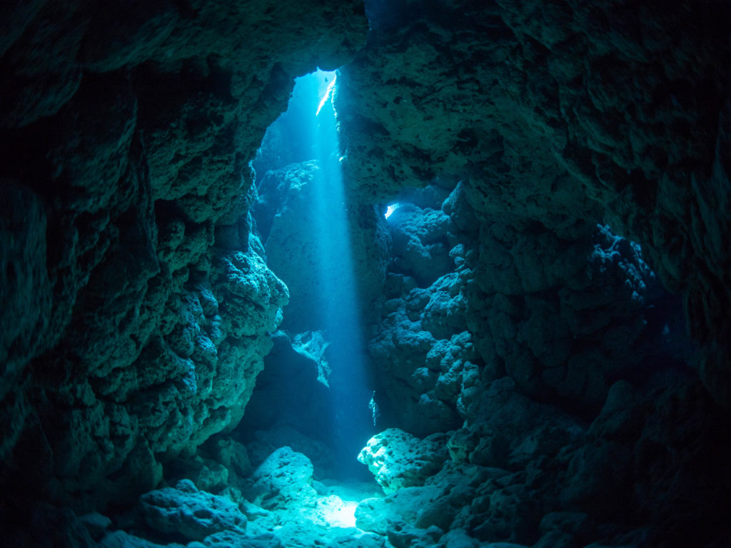 沖縄 ファンダイビング