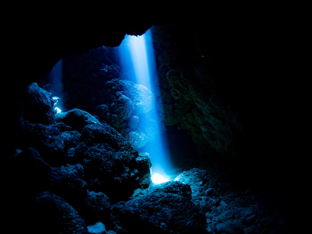 沖縄 ファンダイビング