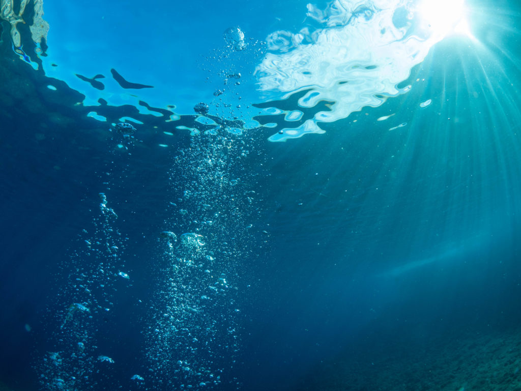 恩納村 ファンダイビング