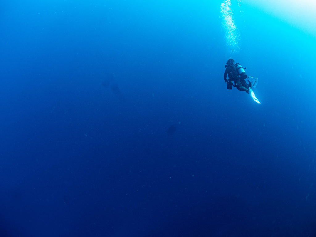 恩納村 ファンダイビング
