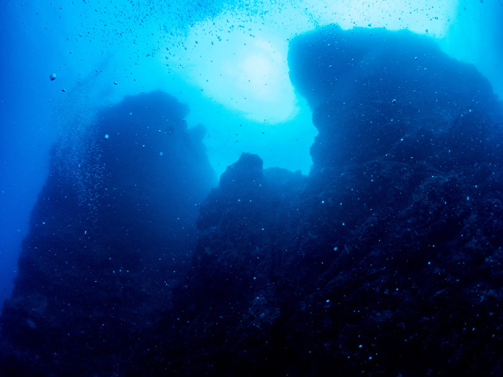 辺戸岬 ファンダイビング