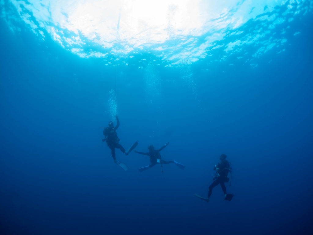 辺戸岬 ファンダイビング