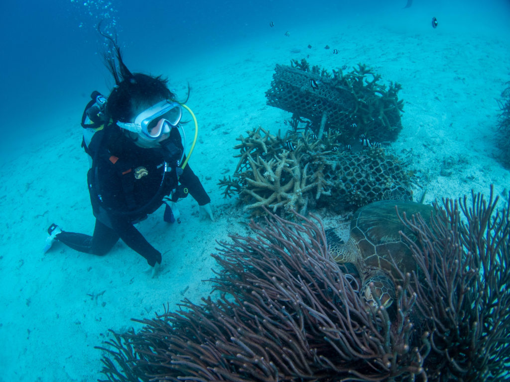 うちなんちゅ 体験ダイビング