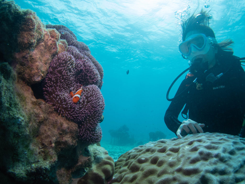 うちなんちゅ 体験ダイビング