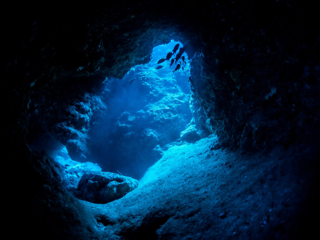 到着日 ファンダイビング