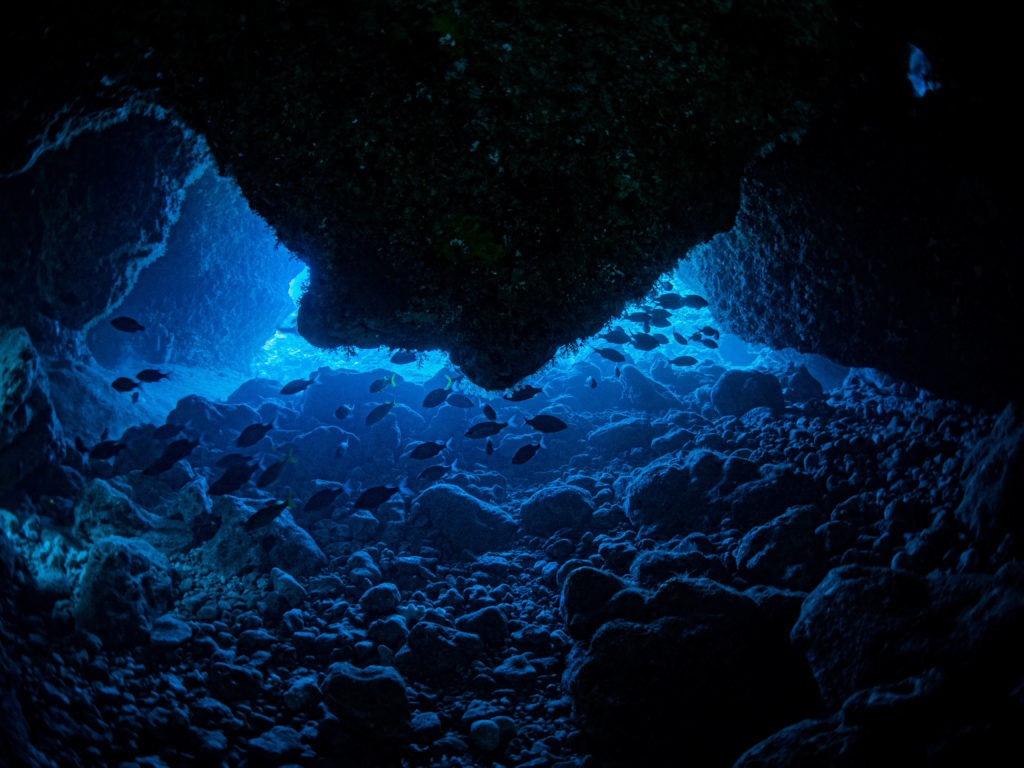 到着日 ファンダイビング