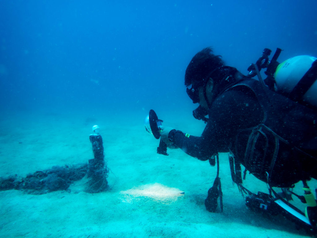 砂辺 ファンダイビング